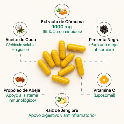 Cápsulas de cúrcuma (1000 mg)