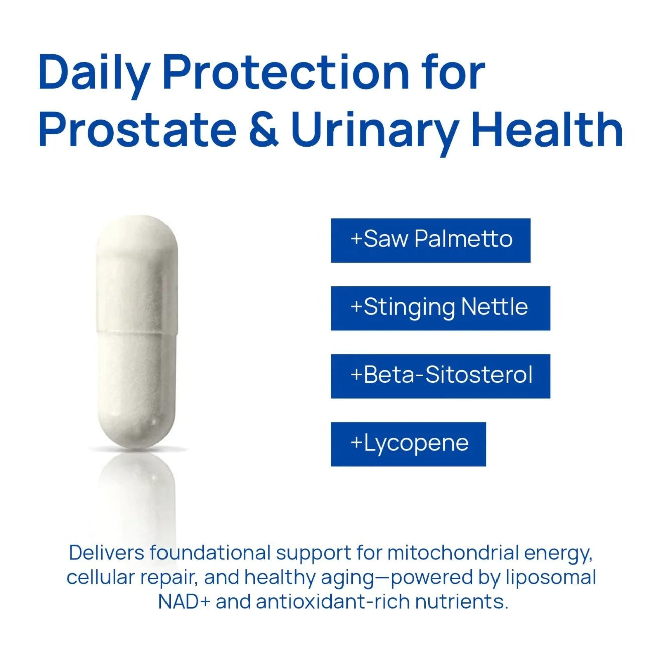 Fórmula #1 Avalada por Médicos para Hombres